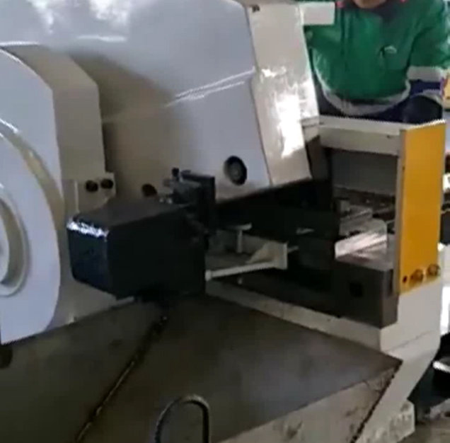 Q43系列鱷魚式剪切機